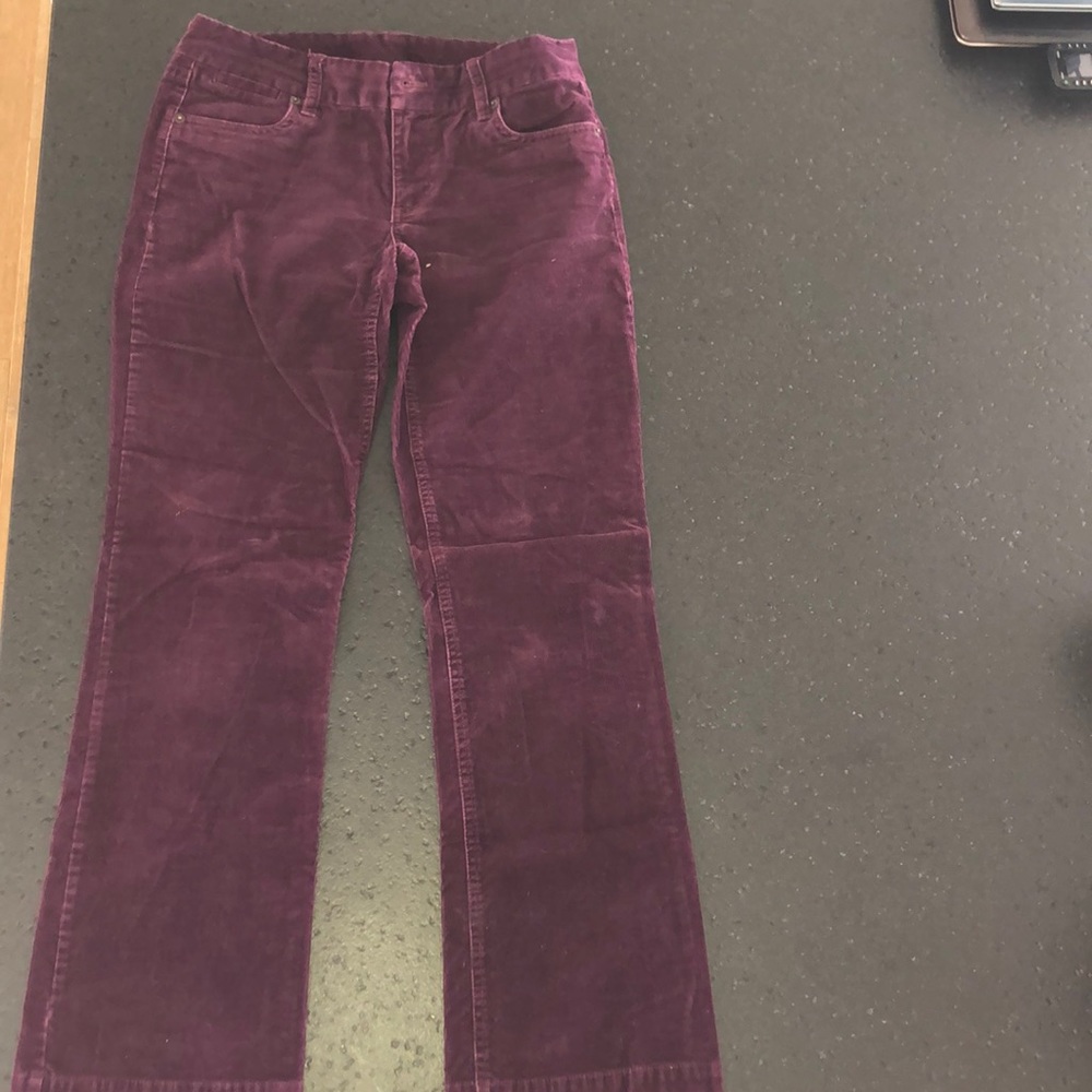 Dark purple corduroy pants